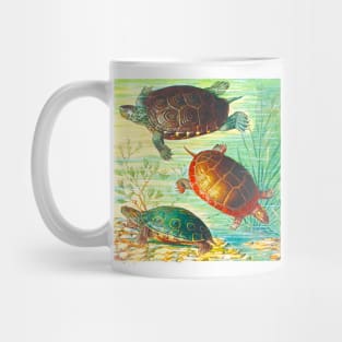 Turtles Turtles and Ocean Mug